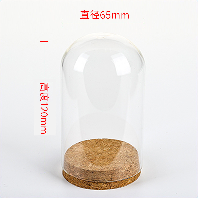 36pcs D65XH120mm Empty Clear G - đánh giá và giá Wedding Zoo