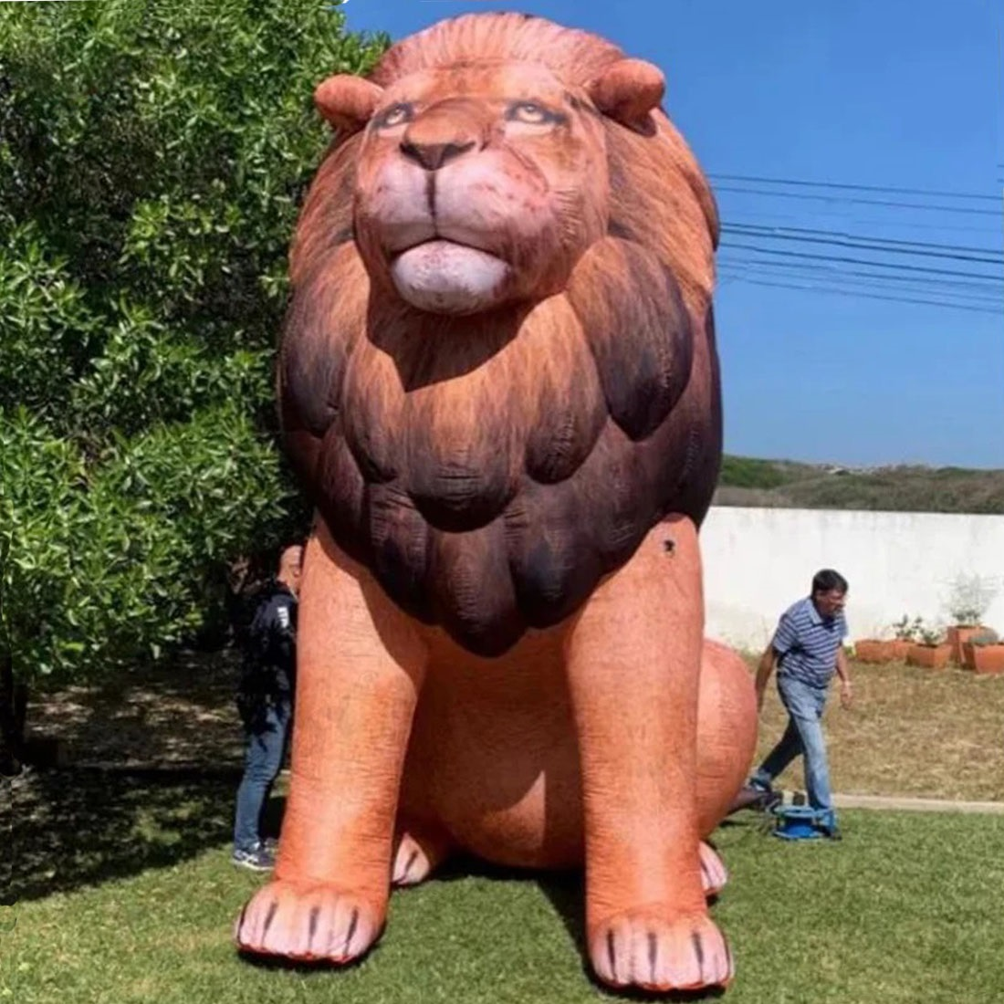 Giant LED Inflatable Lion Real - đánh giá và giá Wedding Zoo