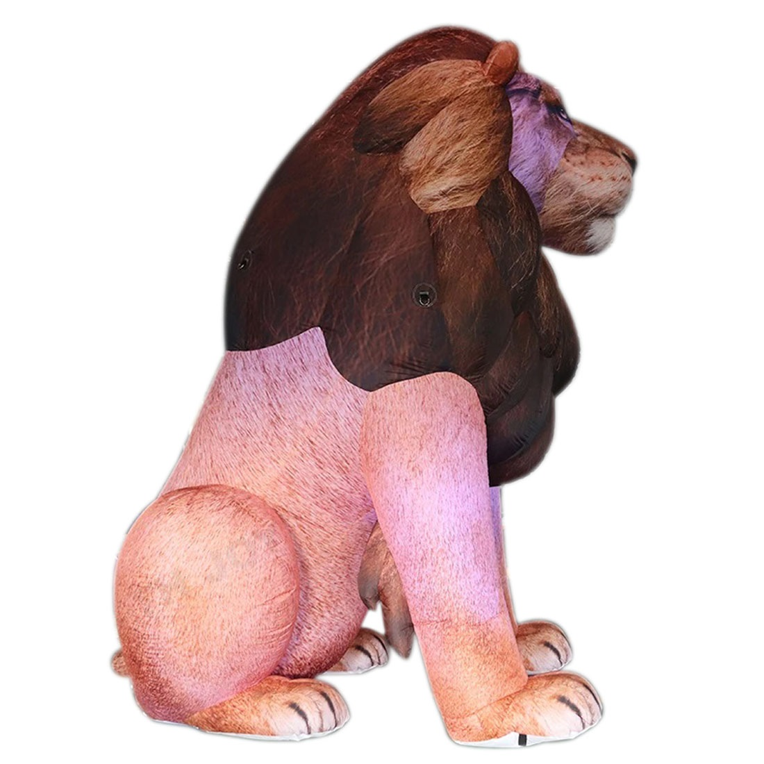 Giant LED Inflatable Lion Real - đánh giá và giá Wedding Zoo